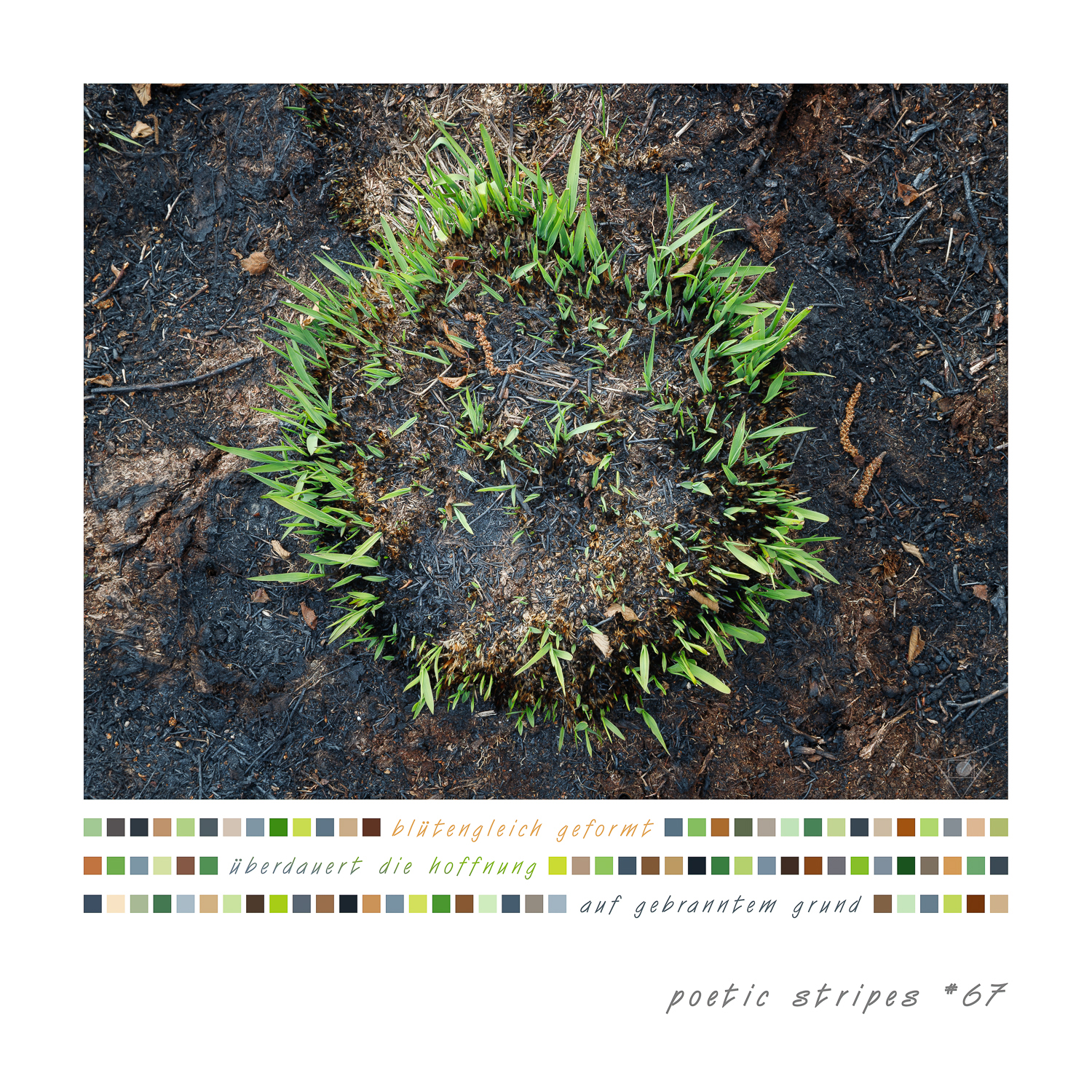 08_#67_hoffnungsgrün