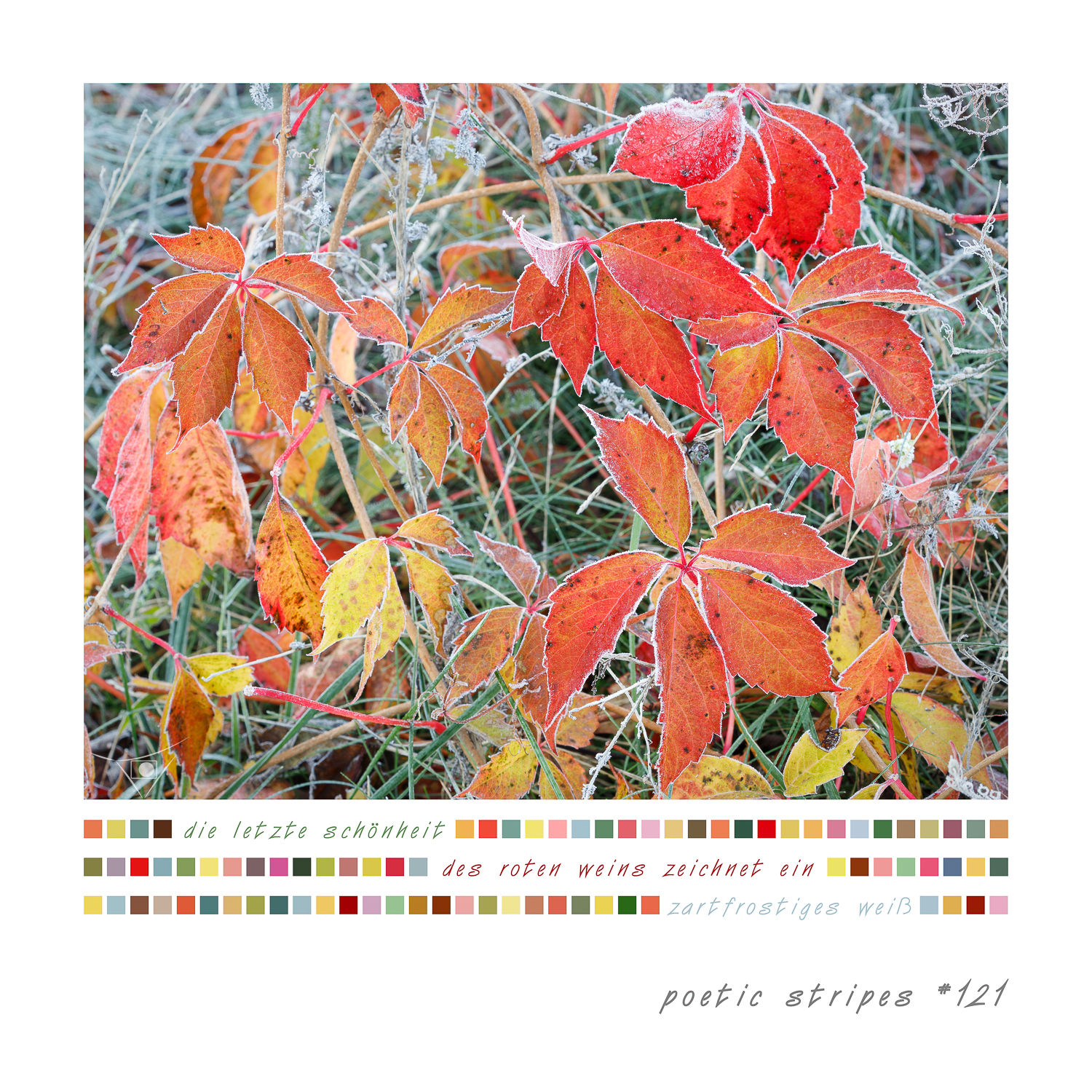 15_#121_letzte schönheit