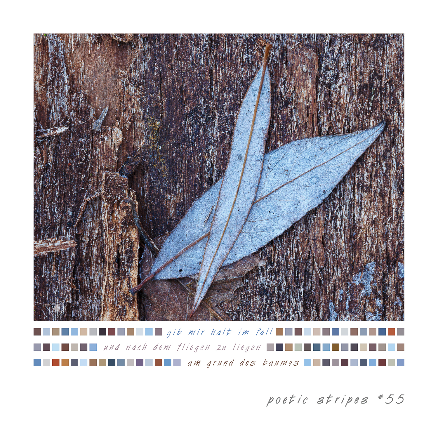 17_#55_halt im fall_40