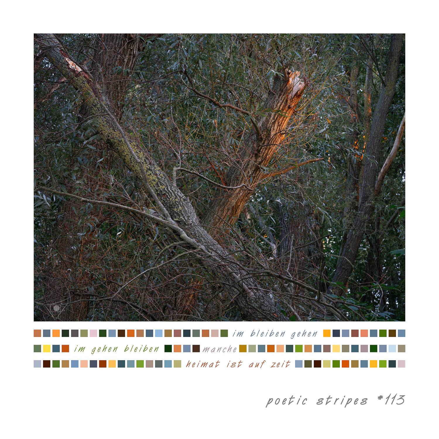18_#113_heimat auf zeit