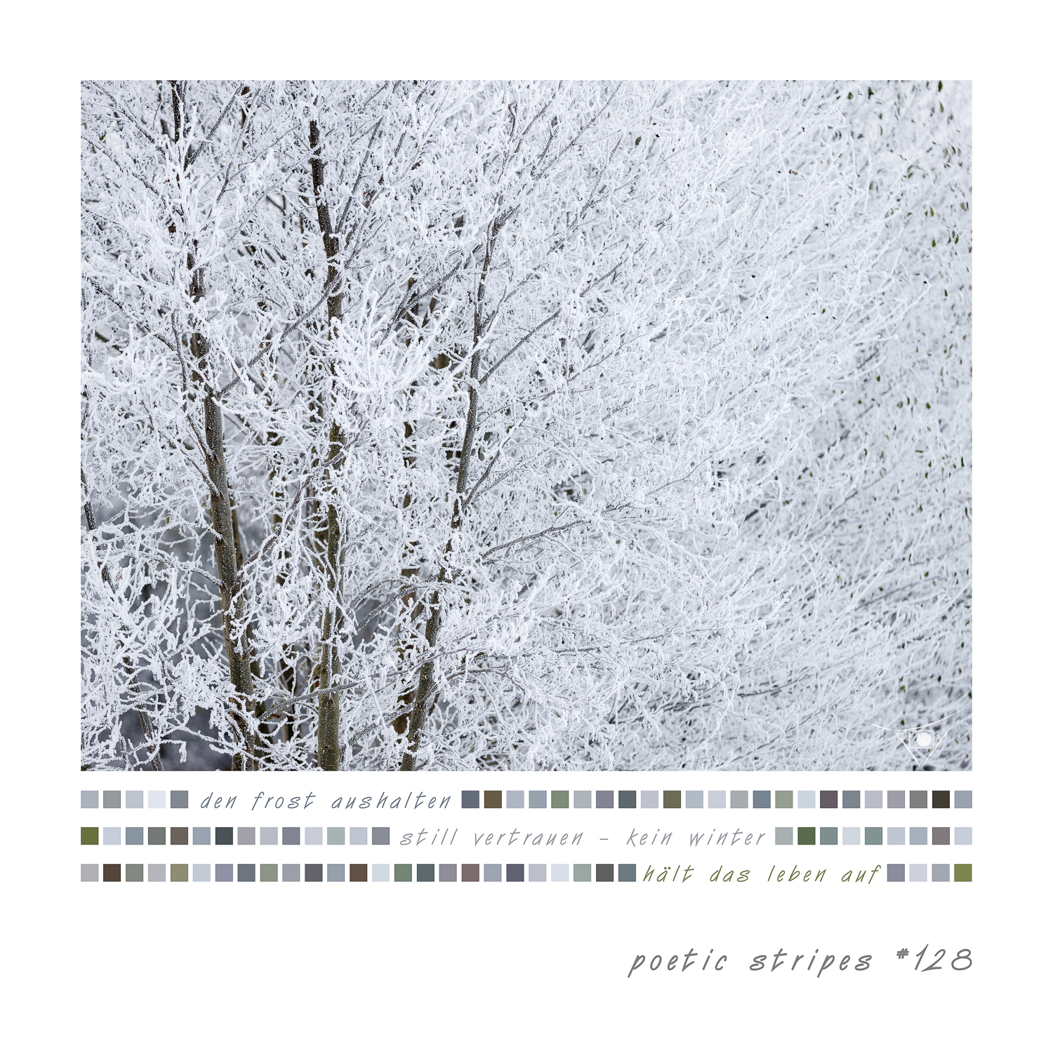 20_#128_still vertrauen