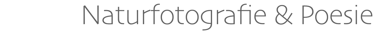 Naturfotografie & Poesie